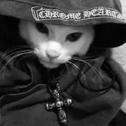 Chrome Cat (CHROME)