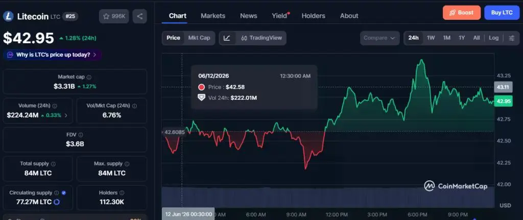 Litecoin whales accumulate as LitVM debate puts LTC back in focus - 2