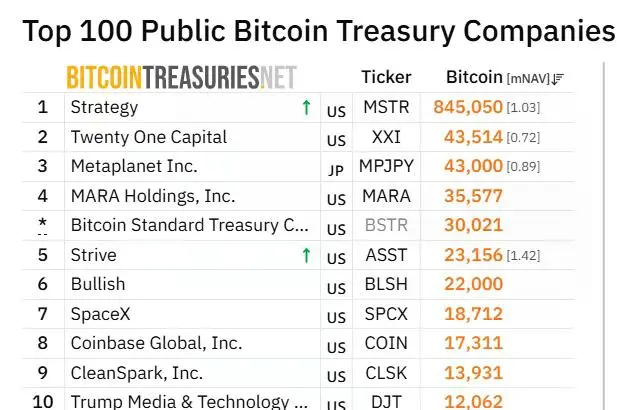 BitcoinTreasuries.net ranking shows Strive as the fifth-largest public Bitcoin treasury company with 23,156 BTC, ahead of Bullish and SpaceX.
